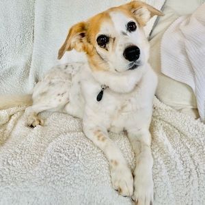 Meet your Posher, Caroline